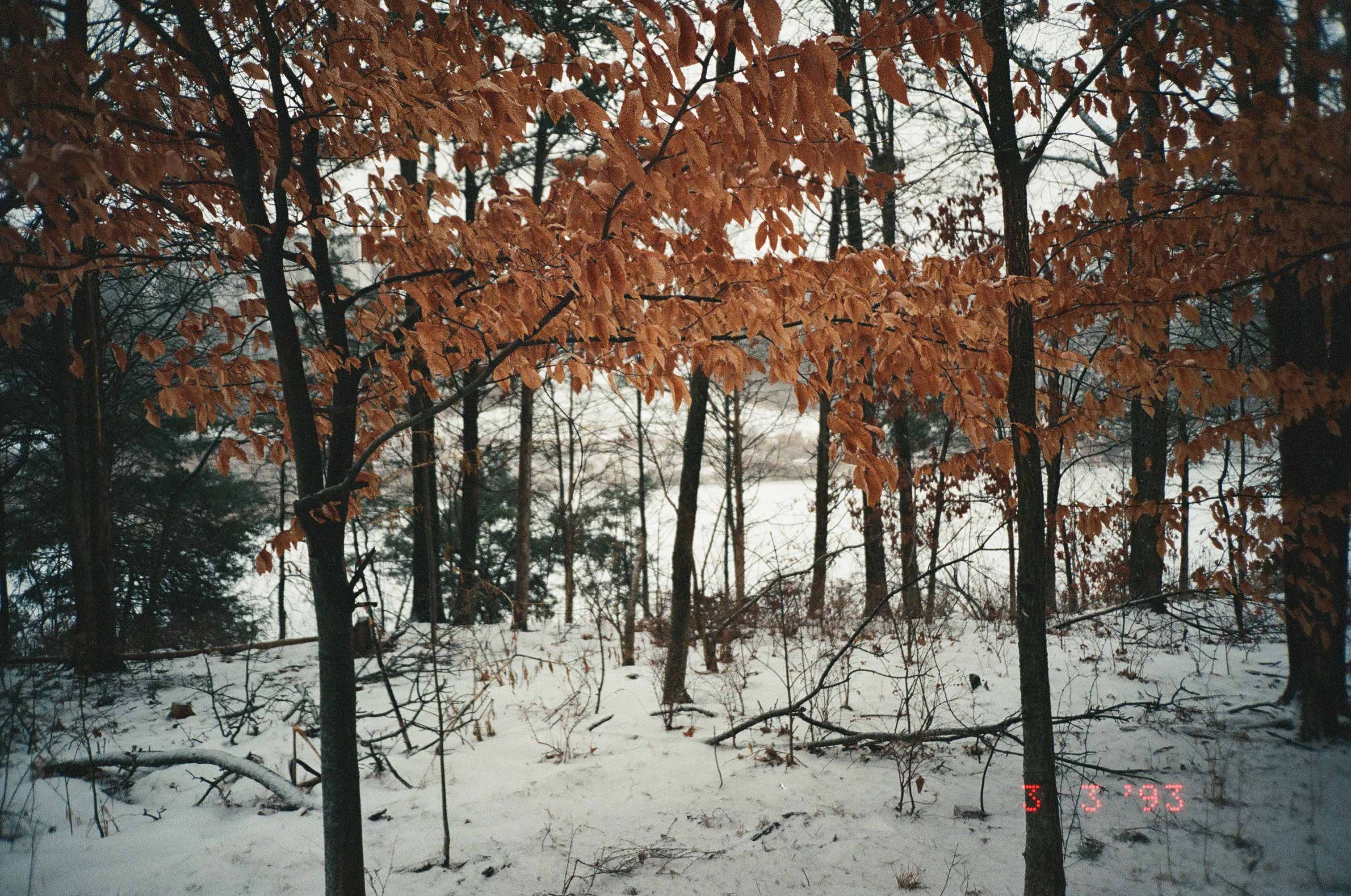 Photography work 5