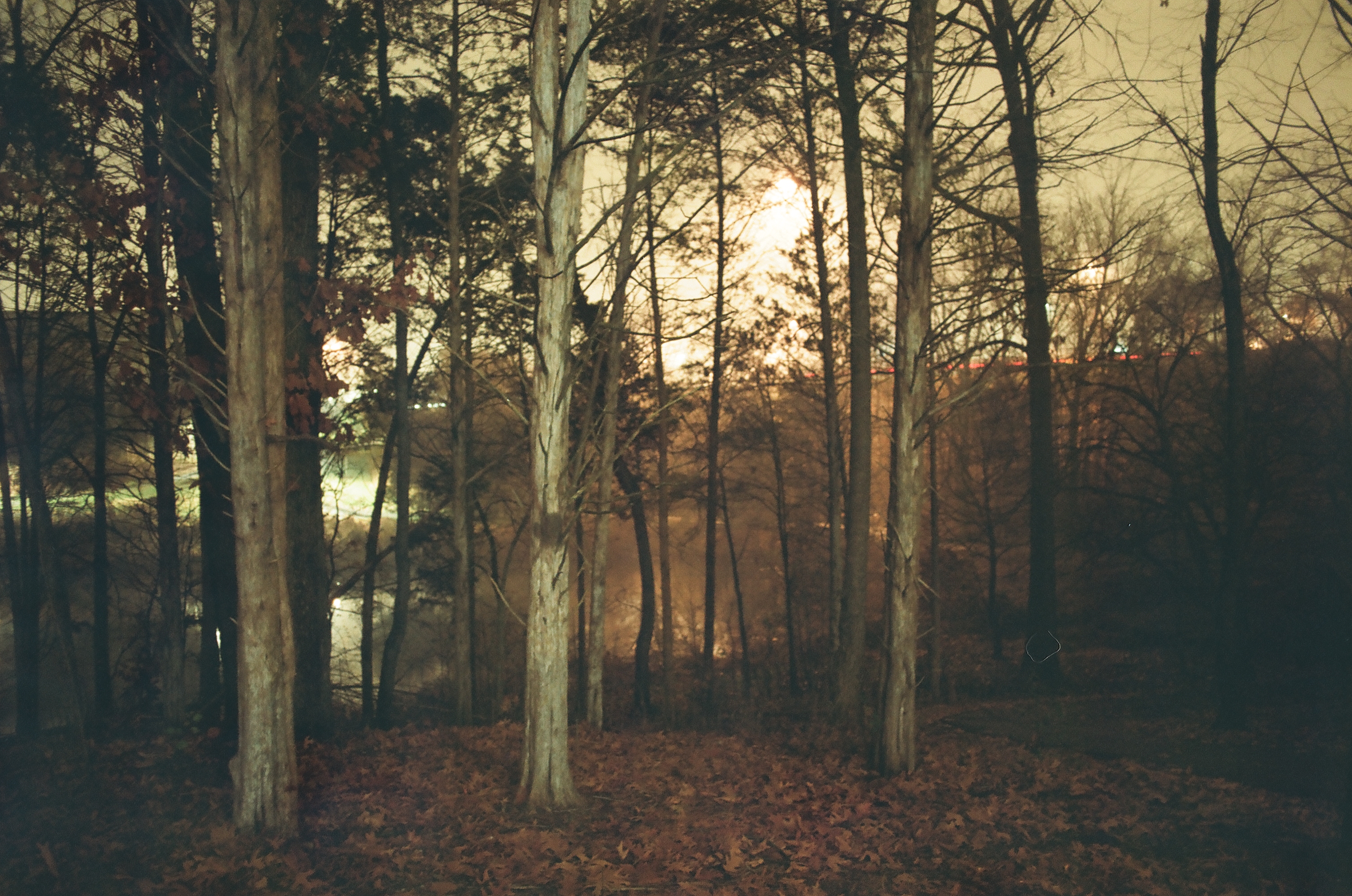 Photography work 5