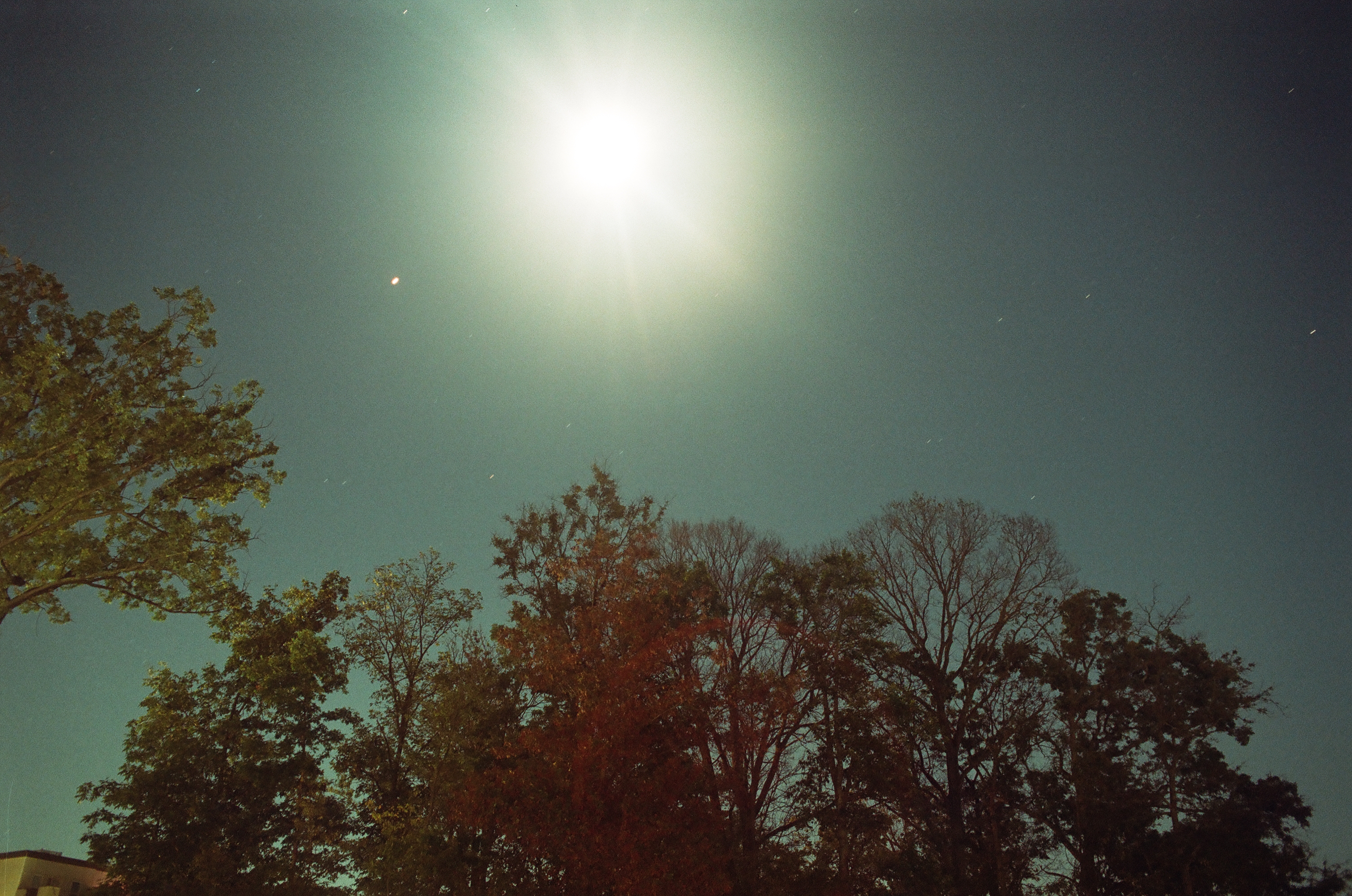 Photography work 6