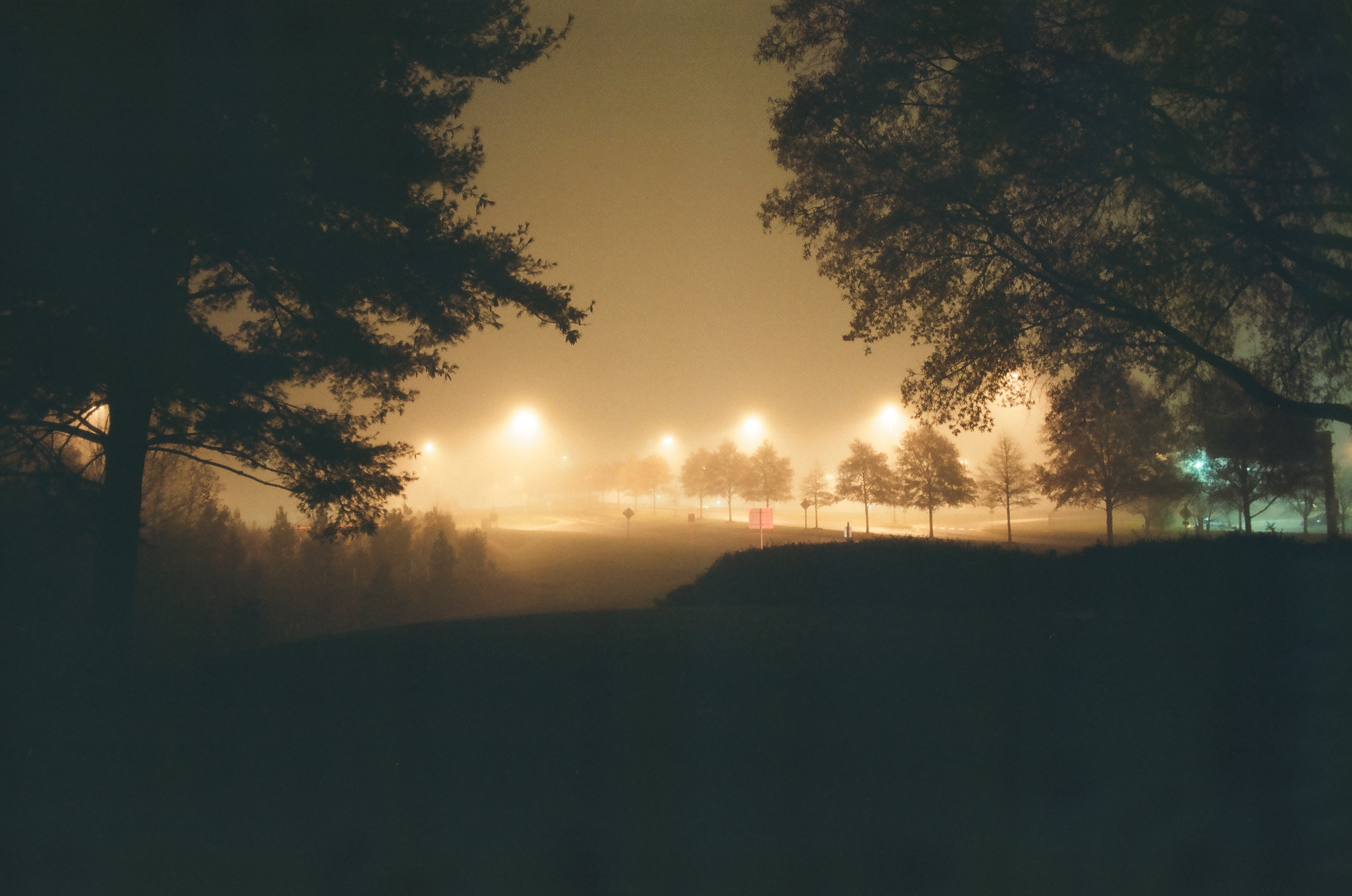 Photography work 5