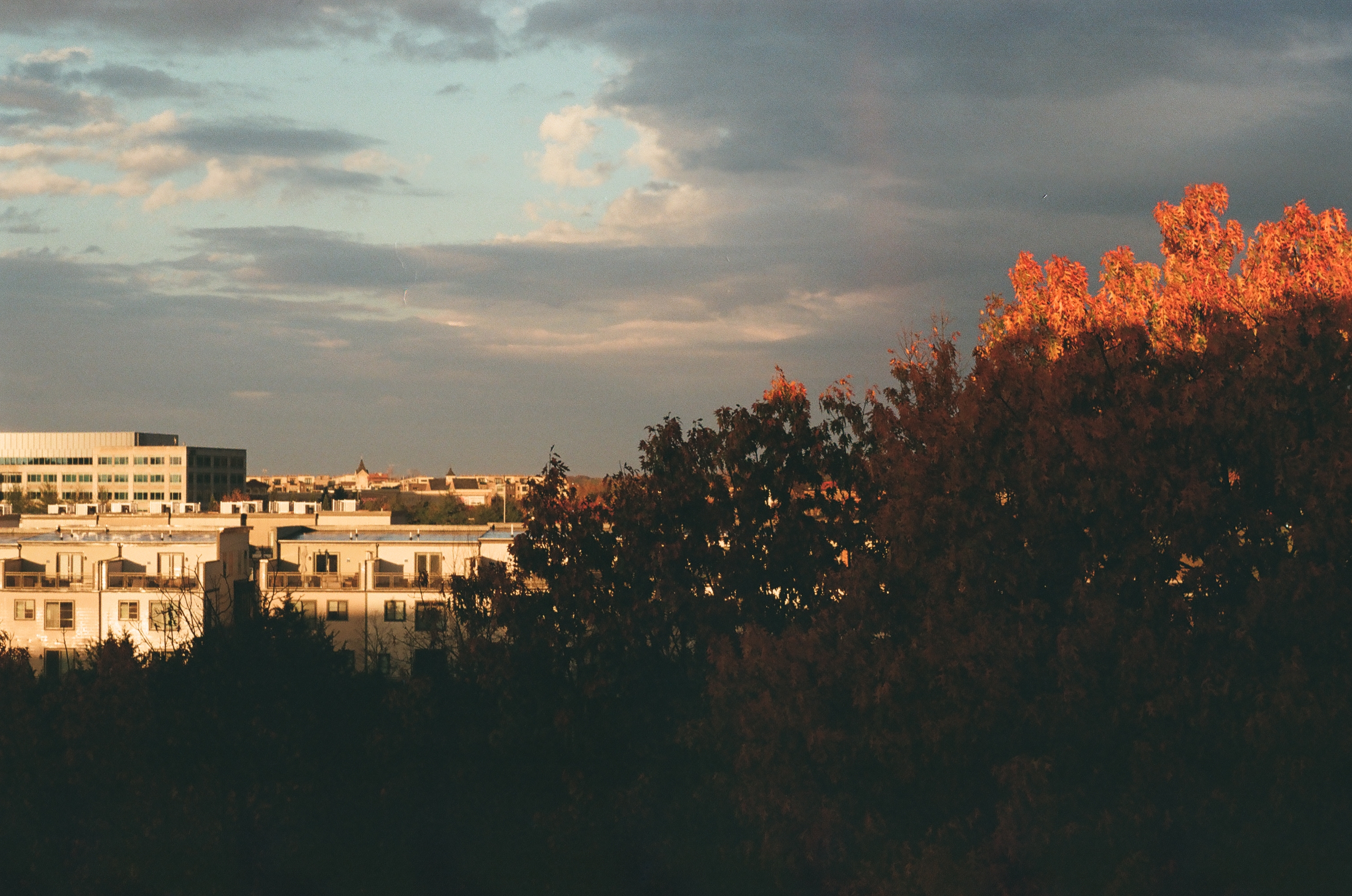 Photography work 2
